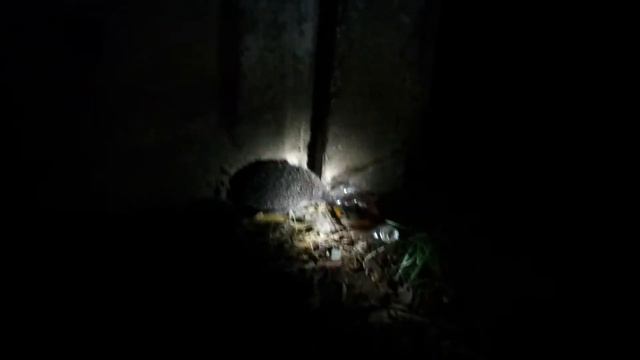 карагандинский ёжик смотреть онлайн