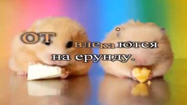 Весёлая песенка для поднятия настроения ! смотреть онлайн