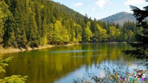 Что такое природа, Красная книга, дары природы и заповедник? - для детей.  HD