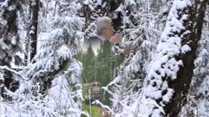 Алан Чумак Новогодний сеанс 1998 г