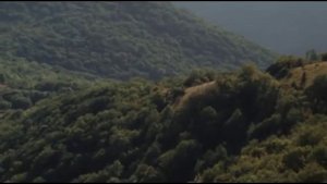 Голубые молнии - За синие береты!