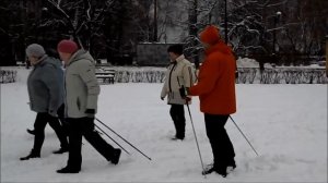 Скандинавская ходьба с палками