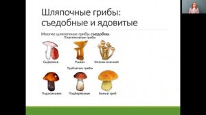 Биология 5 класс 23-24 недели. Царство Грибы