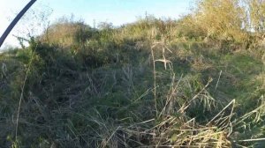 Первая раздача жереха осенью. Раттлин сделал эту рыбалку!