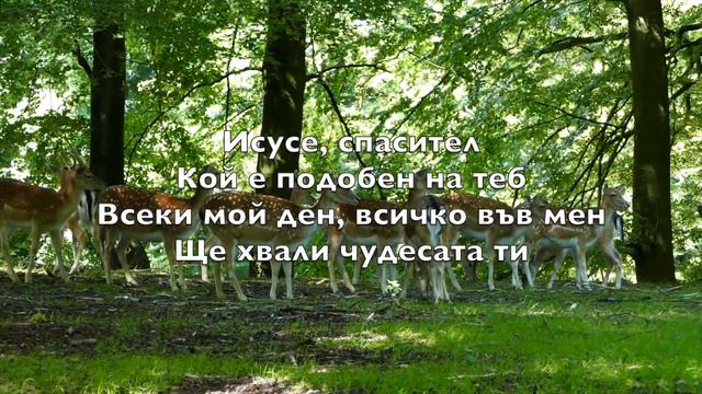 Исусе, Спасител (Shout To The Lord)- Инструментал за караоке флейта Darlene Zschech Hillsong V5 Bu смотреть онлайн