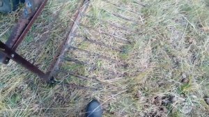 Валакуша, грабилка на мотоблок