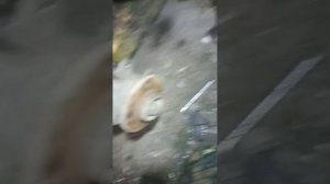 замена тормозных суппортов.с ауди80.б3.на ауди80б4.келешую.