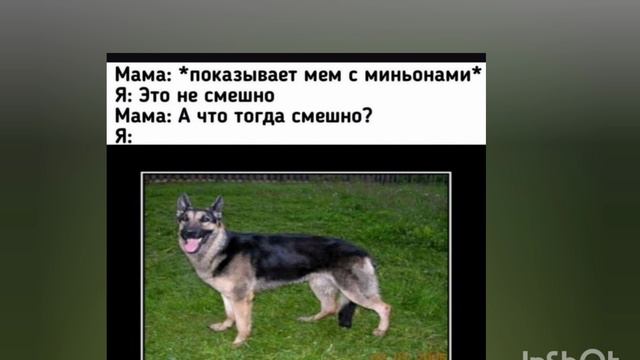 Смешно