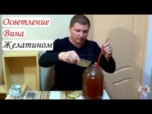 Осветление вина желатином