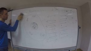 Радиоактивность Физика ЕГЭ ОГЭ  Атомы альфа бетта распад