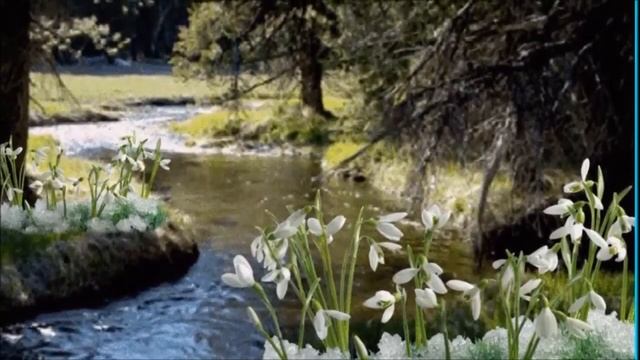 885628471959 А я пишу тебе стихи смотреть онлайн