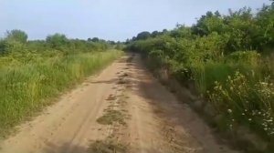 Приезд Брата мужа/Сладкая любовь.