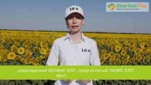Решения Lidea для контроля заразихи: гибриды подсолнечника OR MASTER