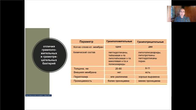 Лекция 2. Морфологическая классификация бактерий.