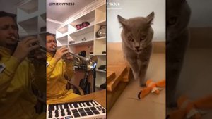 создание музыки.