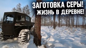 ЗАРАБОТОК НА ВЕЗДЕХОДЕ _ВРВ_ ДОБЫЧА СЕРЫ! ЖИЗНЬ В ДЕРЕВНЕ!