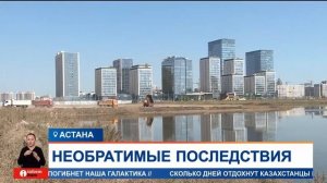 Лебеди гибнут на высыхающем водоёме в Астане