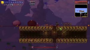 The Terraria Experience