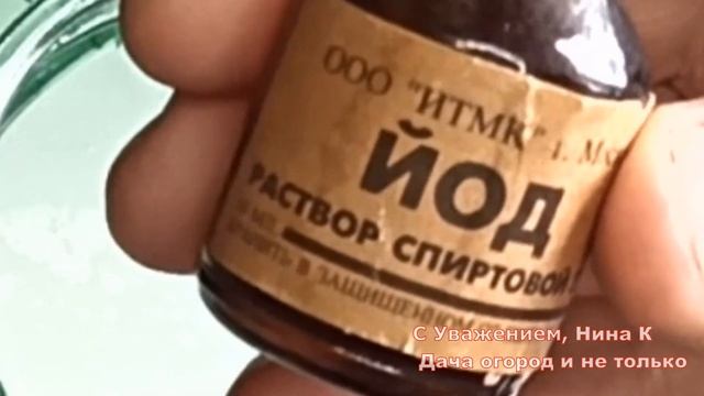 КЛУБНИКА НАЛИВАЕТСЯ НА ГЛАЗАХ! СУПЕР ПОДКОРМКА КЛУБНИКИ ВО ВРЕМЯ ПЛОДОНОШЕНИЯ И ЦВЕТЕНИЯ