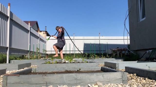 ВО САДУ ЛИ, В ОГОРОДЕ. Как мы посадили виноград, сосну и огород.#Купилидомнаюге#переезднаюг