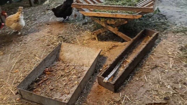 КВОЧКА-ЗАБІЯКА! ВСІМ ДАЛА ПРОЧУХАНА. БІЛИЙ ПІВЕНЬ - СПІВАК смотреть онлайн