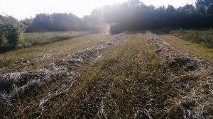 Тюкуем суданку.