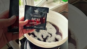 Брага на пиве👌🍺