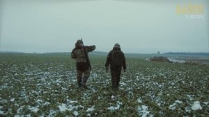 Лесник спас волчицу с потомством, а когда оказался в «ледяном плену», хищник пришел ему на помощь