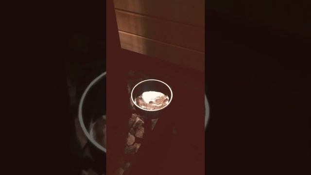 Работа паровой пушки в бане! смотреть онлайн