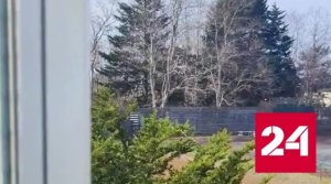 На японском Хоккайдо завыли сирены воздушной тревоги - Россия 24 