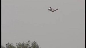 An oval closed wing plane. Flight on a circle. mpg