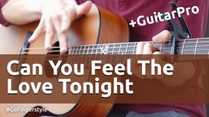 Can You Feel the Love Tonight (Go Fingerstyle cover)
