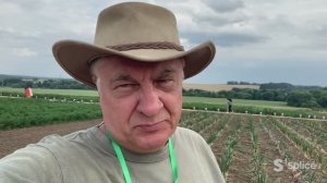 Луки разные важны!