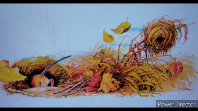 В. Бианки "Мышонок Пик" Кладовая, Сон и снег смотреть онлайн