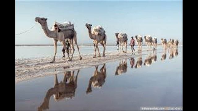 КАКАЯ РЕЛИГИЯ САМАЯ ПРАВИЛЬНАЯ?