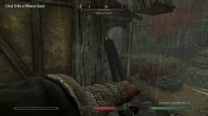 Skyrim...BUT WITH GUNS =D