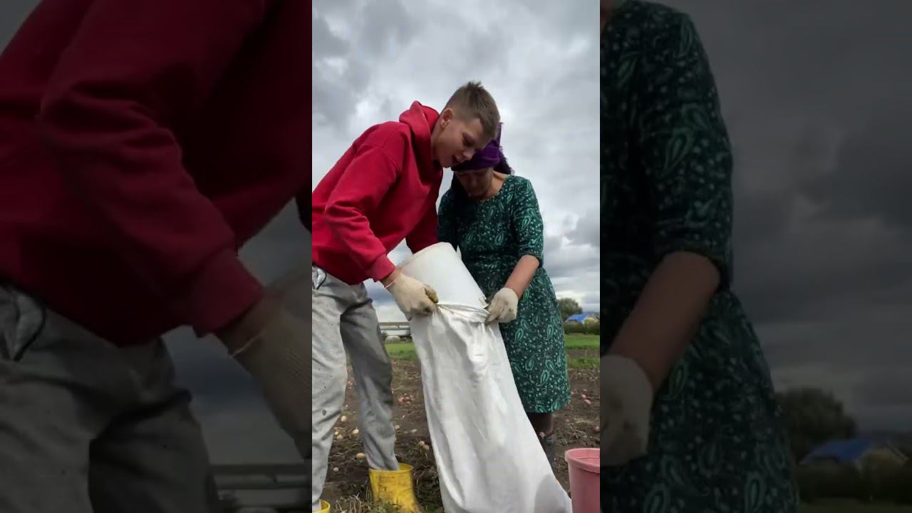 Из какой деревни вы копаете картошку ? смотреть онлайн