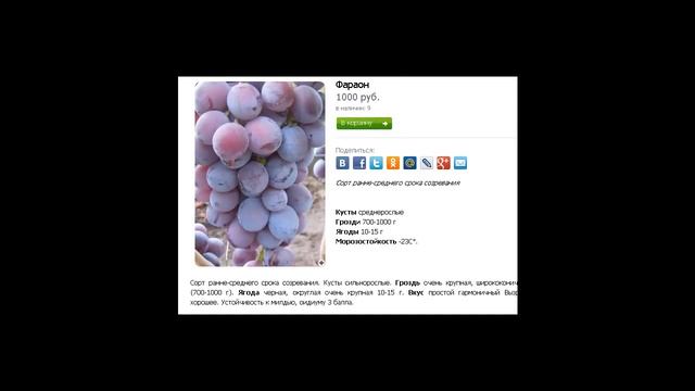 Кинельский виноград смотреть онлайн