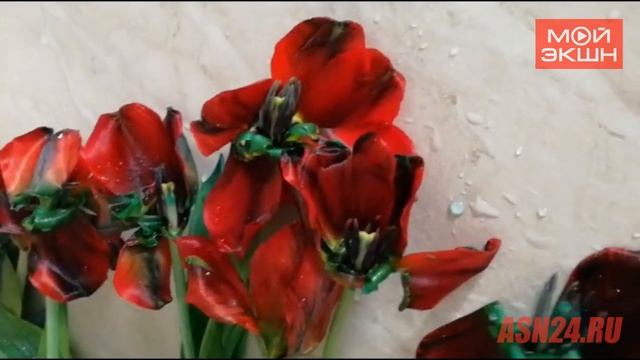 Благовещенке достались на праздник гнилые цветы смотреть онлайн