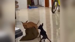 Зацепила песня