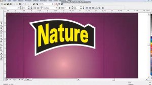 by Nature Snack  Packaging Design Using Coreldraw X7 X8 X6 x9 by Sabir  Ali