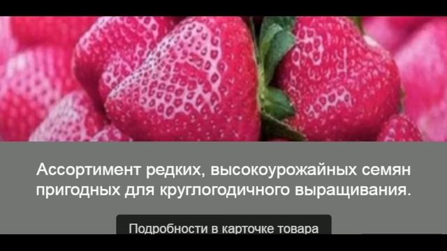 Розовая клубника / Торговая точка - Семяныч: смотреть онлайн