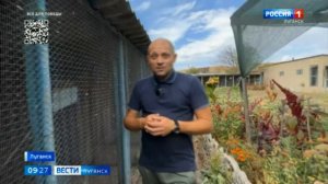 На улицах Луганска заметили стаю тропических попугаев