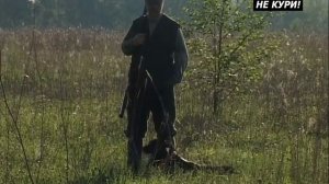 Натаска легавой в поле - 2021г