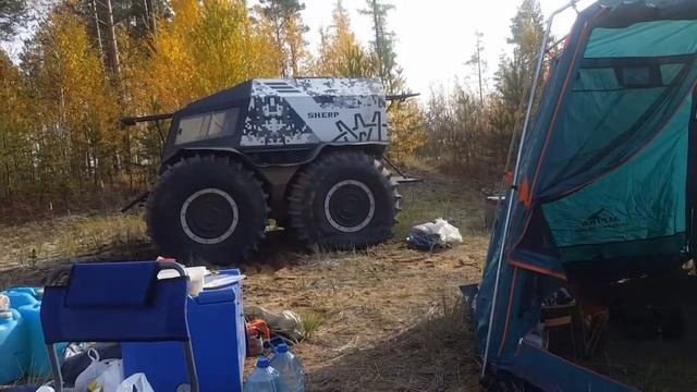 Маринуем шашлык из белого гриба #ДегустаторТолстов #Белыйгриб
