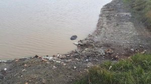 Очистные озера (иловые поля) на промзоне у поселка Отары в Казани