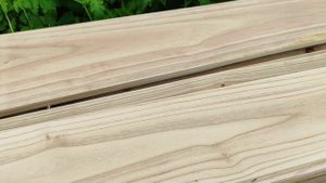 Какой процент выхода древесины с кругляка Павловнии? Сколько можно получить пиломатериалов.