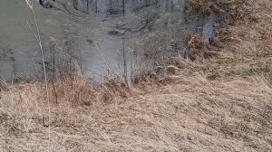 карстовые провалы пятидесятых годов