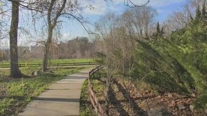 БОТАНИЧЕСКИЙ САД ОТКРЫЛСЯ! Самара, 25 апреля