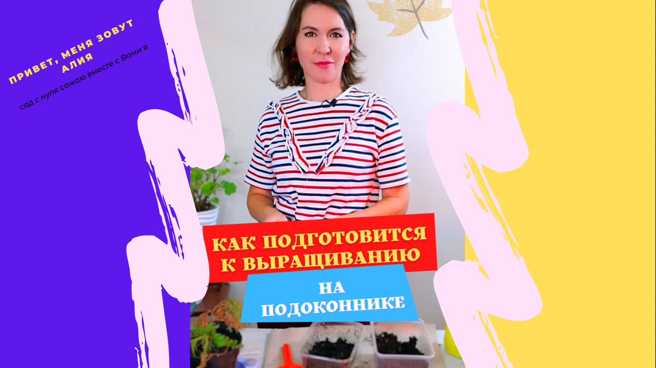Что нужно для выращивания на подоконнике